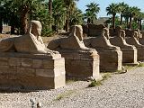 Louxor Temple Allee Sphinx Hommes 0009